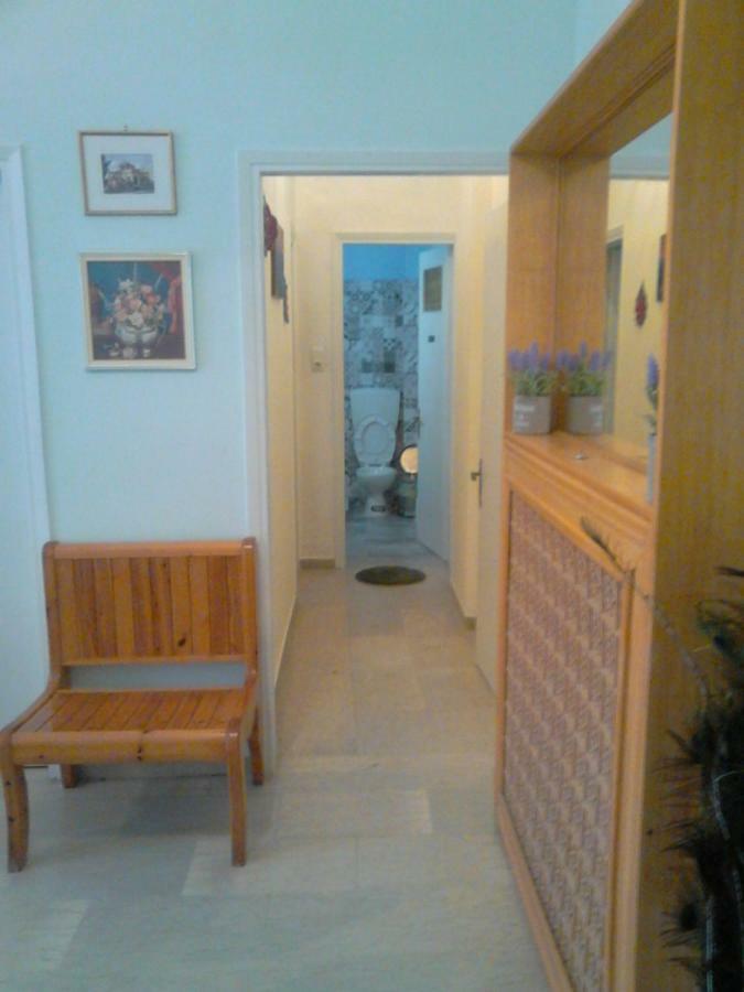 Vasiliki'S Apartment Kalampáka Luaran gambar
